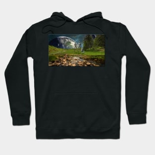 Discovery of Life Hoodie